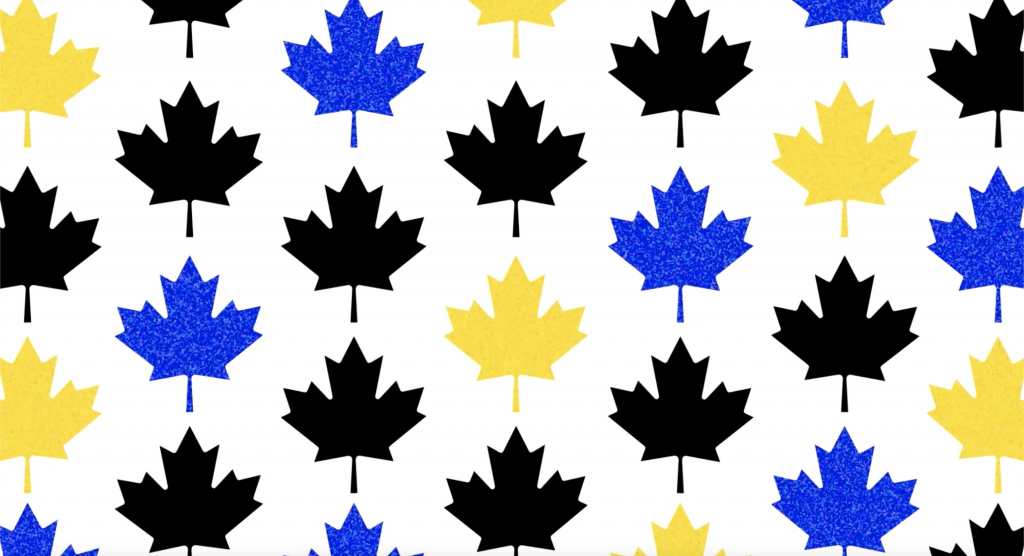 Rows of black, blue, and yellow maple leaves featured over a white background